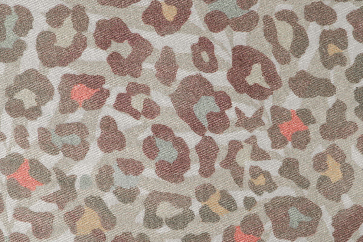 Aopri leo - Image 4