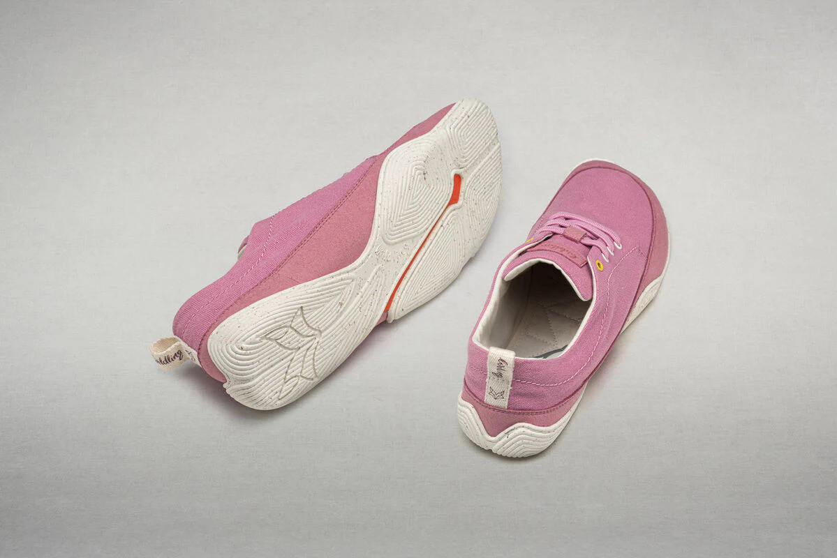 Cotinga rosé - Image 5