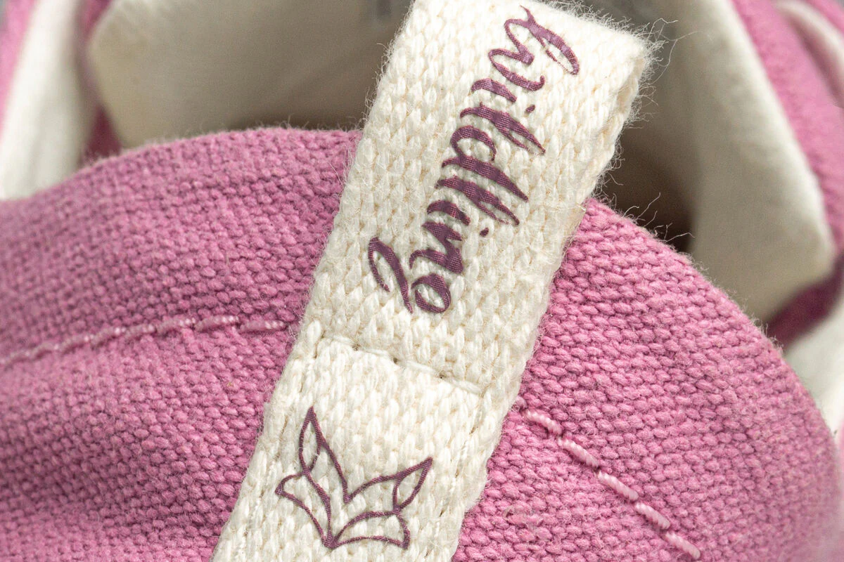 Cotinga rosé - Image 7