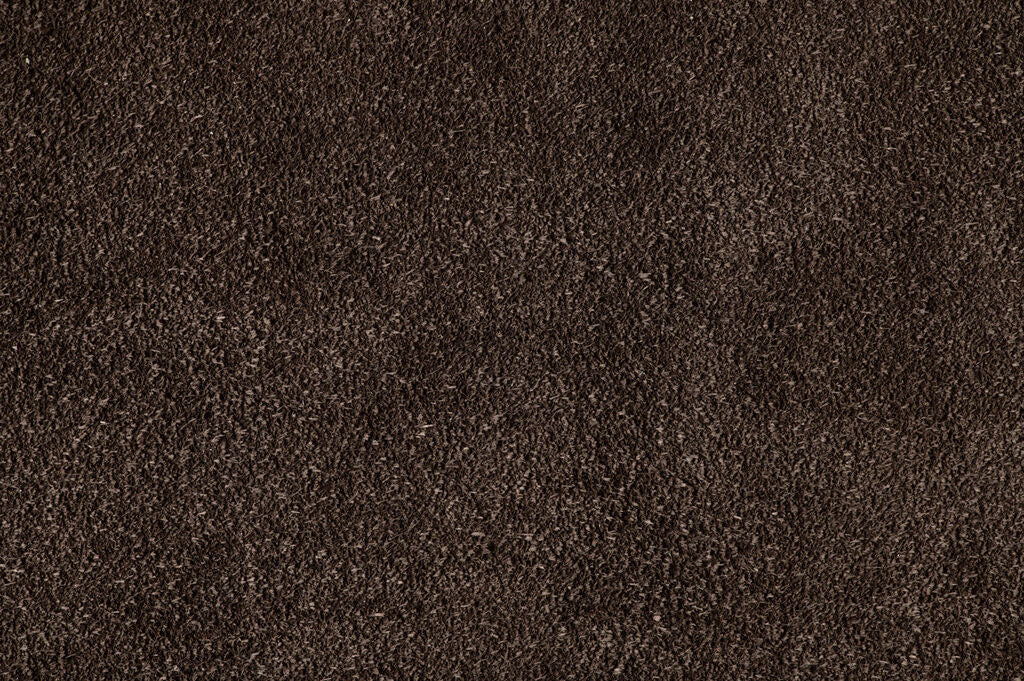 Faunus mahagoni - Image 4