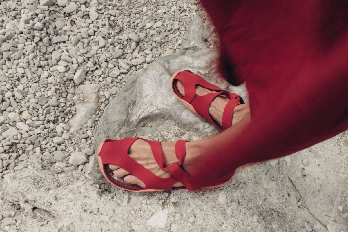 Feder salsa - Image 2
