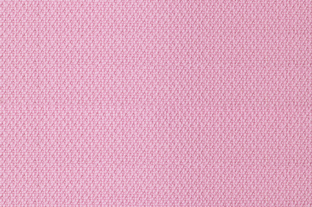 Prunus - Image 4