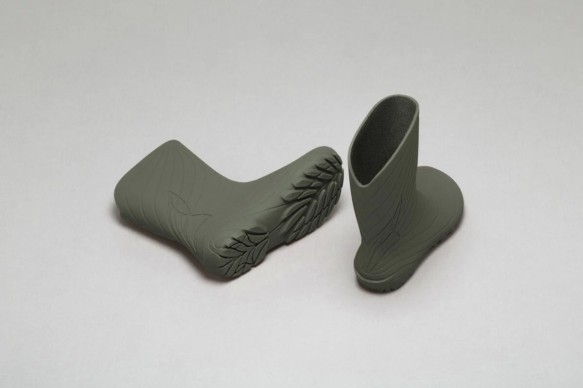 Ranidae green - Image 5
