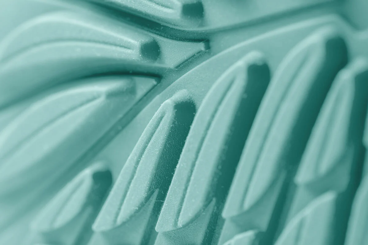 Ranidae mint - Image 7