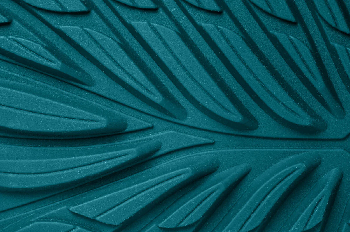 Ranidae ocean - Image 7