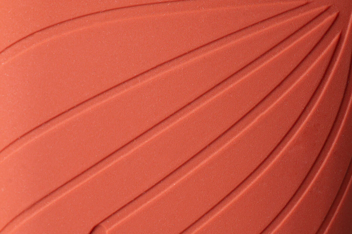 Ranidae orange - Image 4