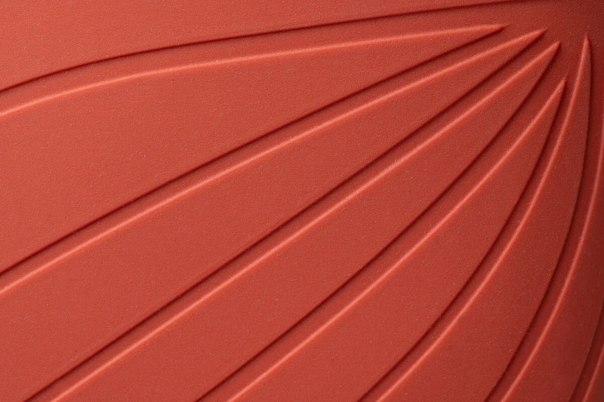 Ranidae orange - Image 4