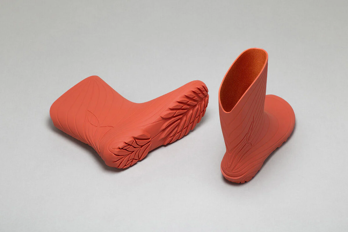 Ranidae orange - Image 5