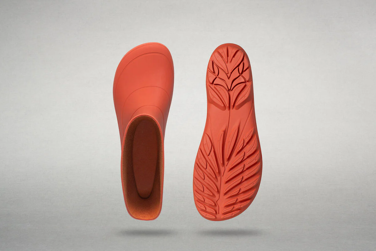 Ranidae orange - Image 6