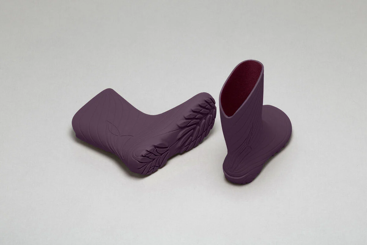 Ranidae plum - Image 5
