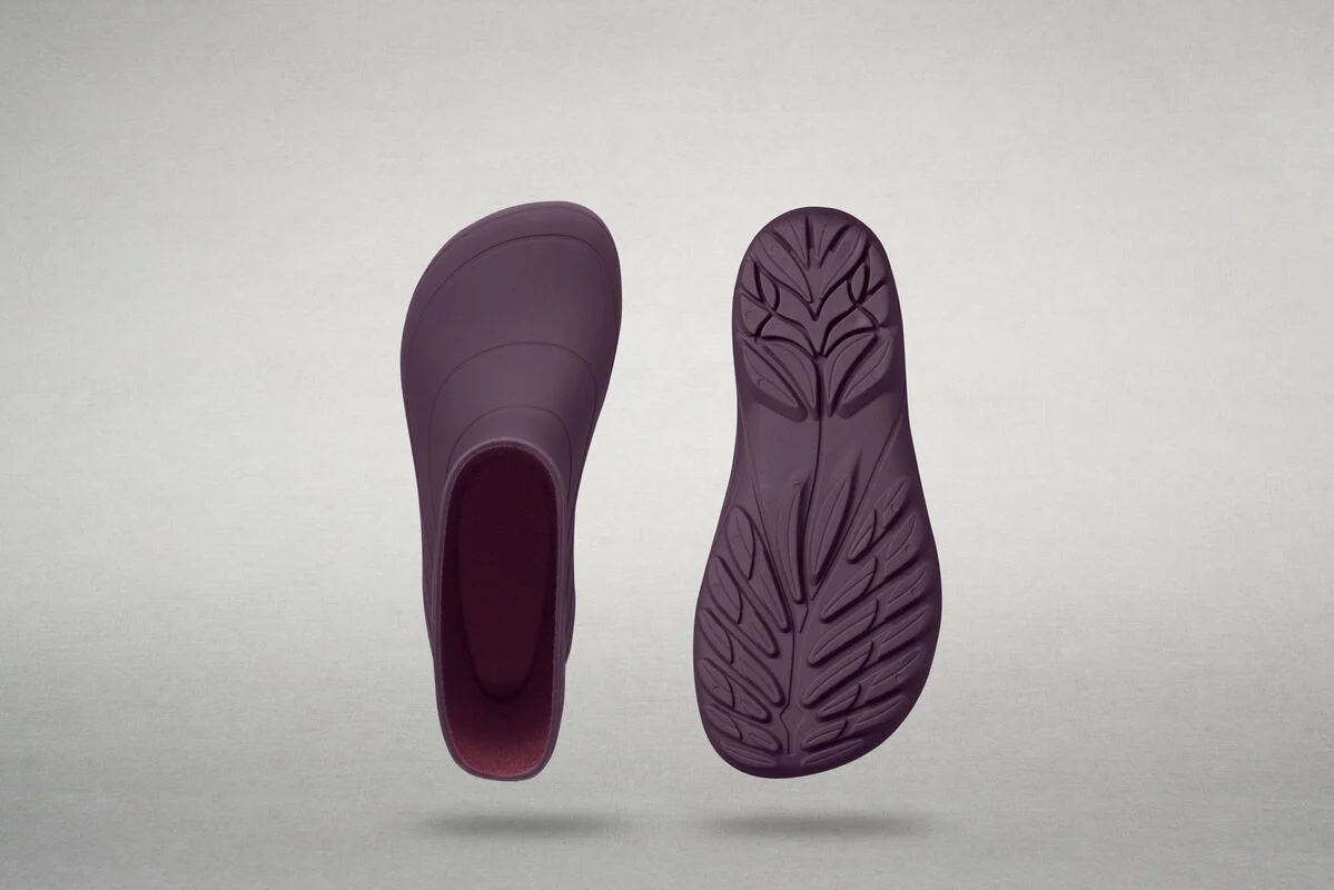 Ranidae plum - Image 6