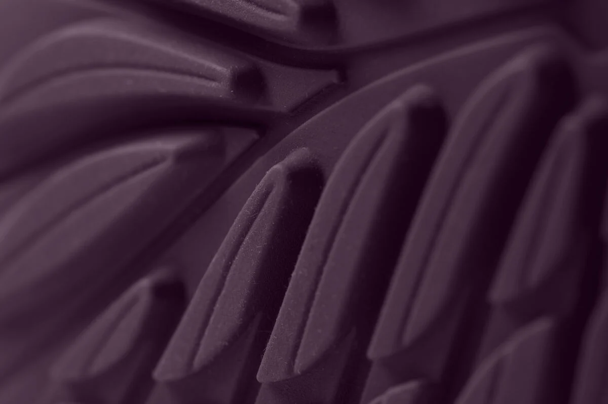 Ranidae plum - Image 7