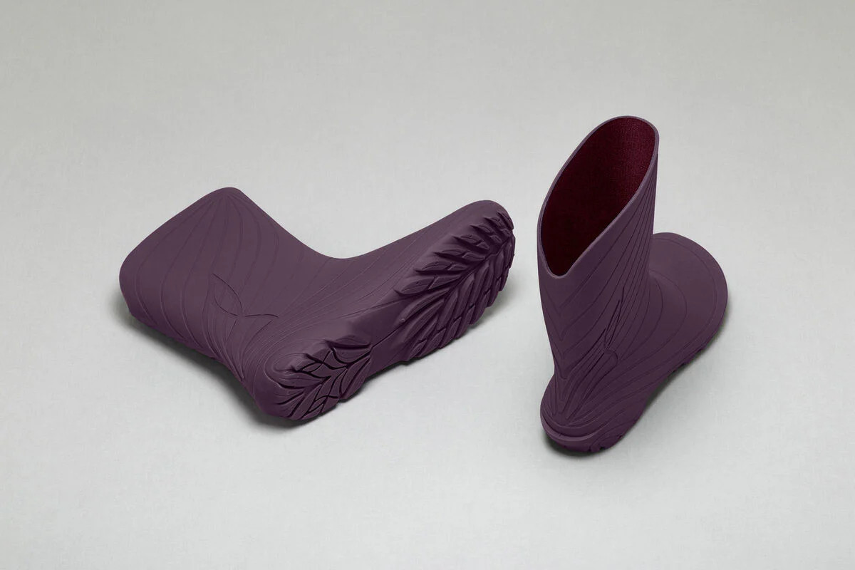 Ranidae plum - Image 5