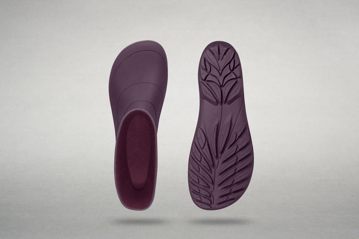 Ranidae plum - Image 6