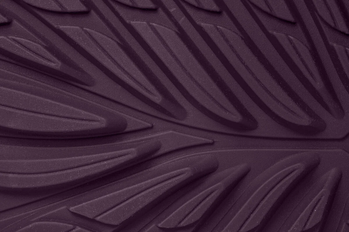 Ranidae plum - Image 7
