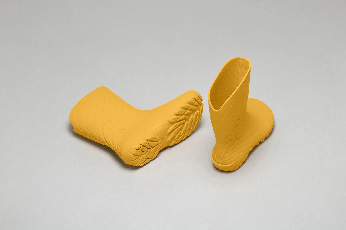 Ranidae yellow - Image 5
