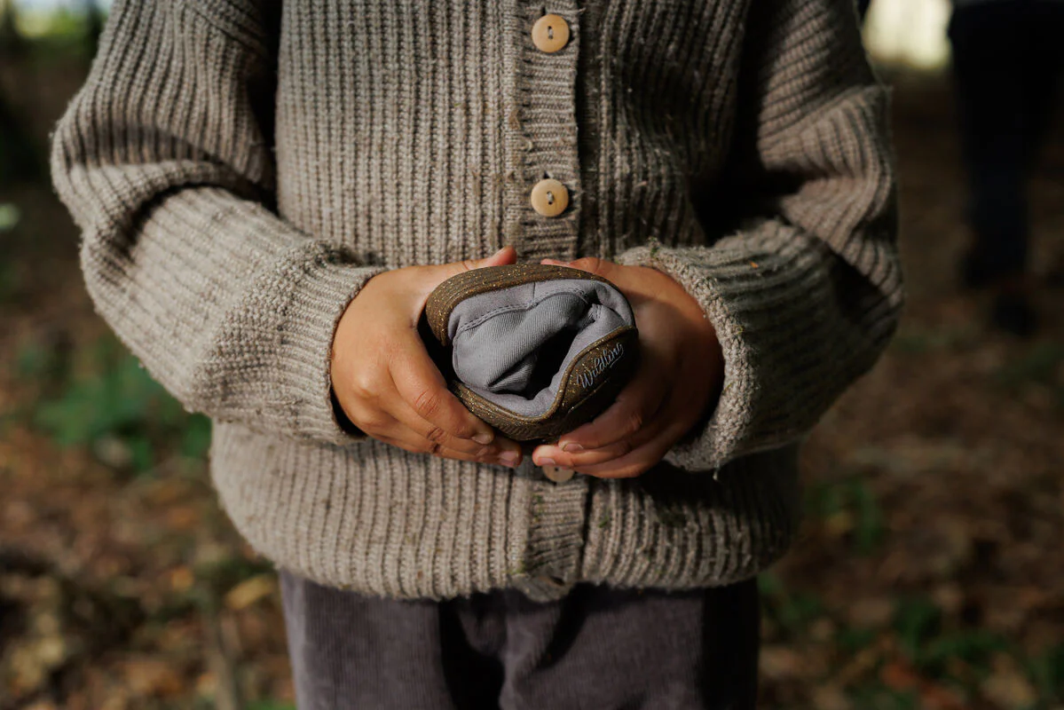 Robinie - Image 2