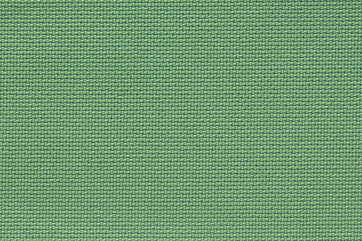 Tanuki Kibo - Image 4