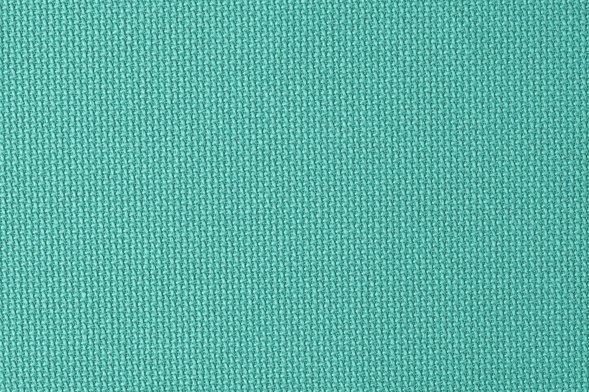 Tanuki Ragun - Image 4