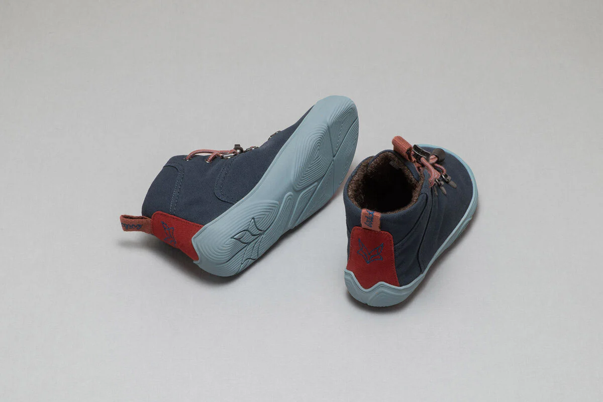 Tejo blueberry - Image 5